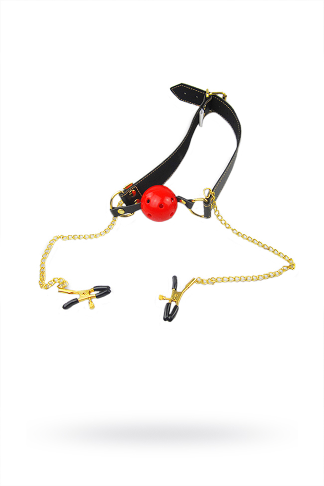 Кляп Romfun с зажимами на соски и регулируемыми ремешками