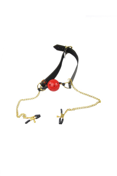 Кляп Romfun с зажимами на соски и регулируемыми ремешками